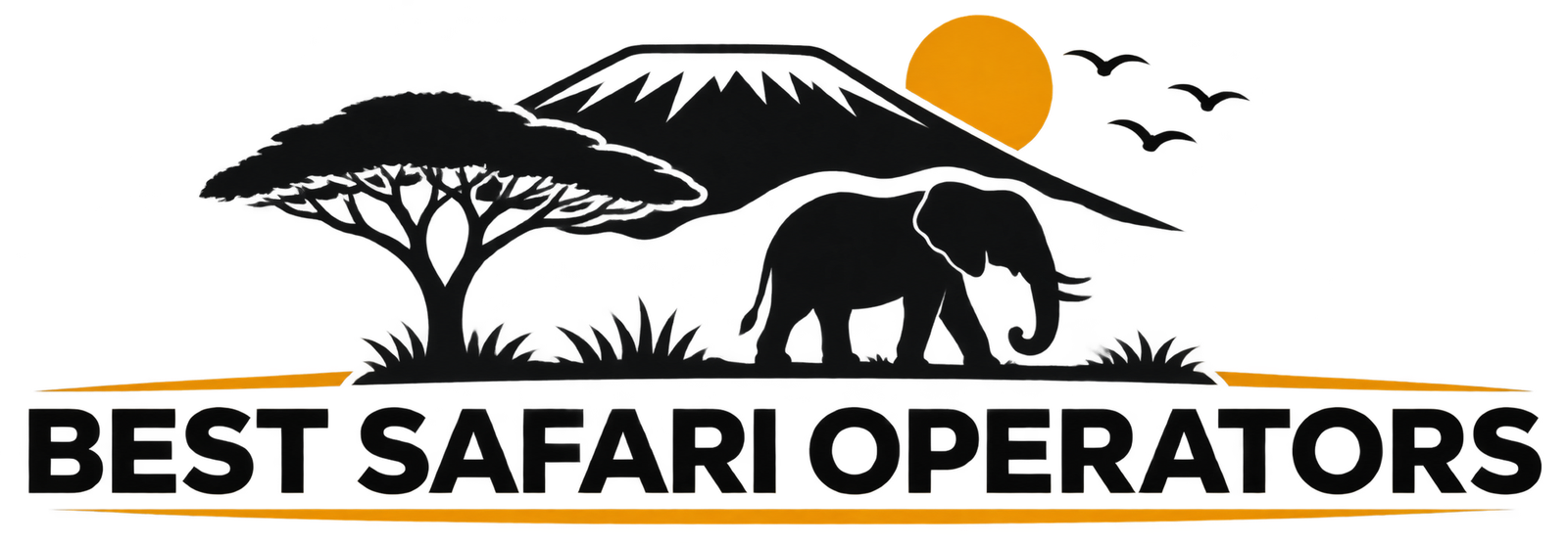 Best Safari Operators