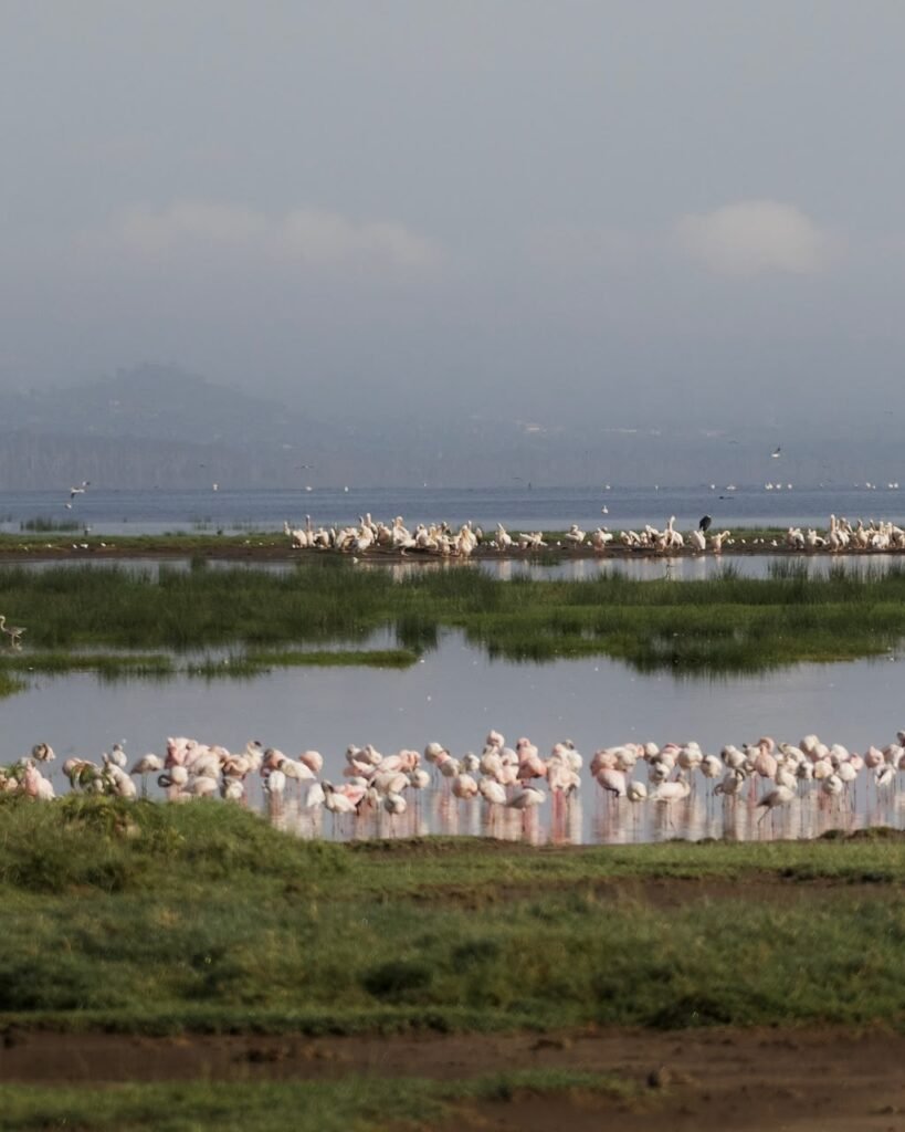 Lake Easi
